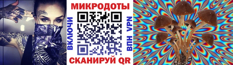 MEGA онион  Североуральск  Галлюциногенные грибы мицелий 